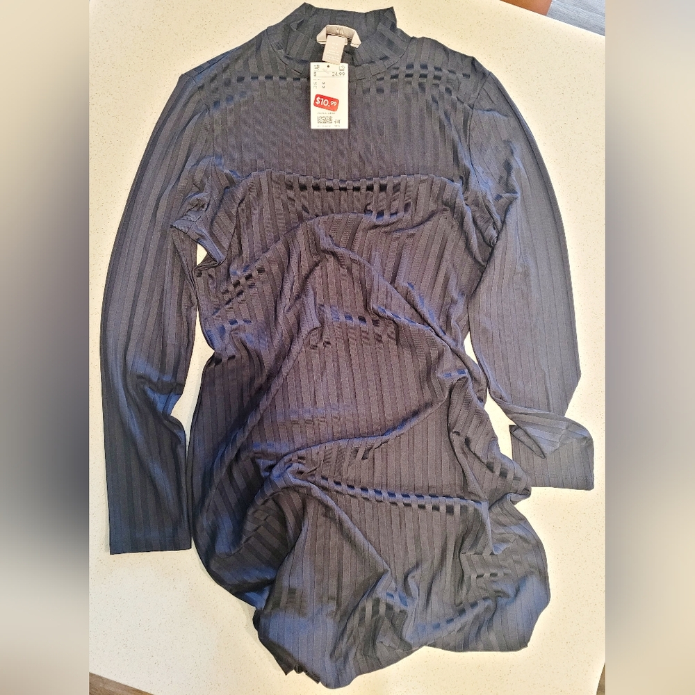 H&M Ribbed Turtleneck Dress - Picture 3 of 3